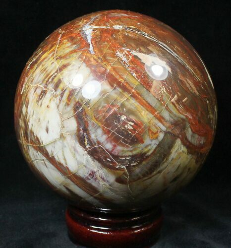 Colorful Petrified Wood Sphere #20602